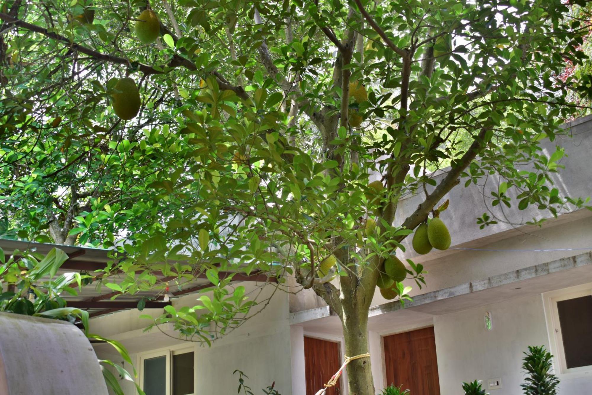 Silent Waters Resorts Yelagiri Exterior foto