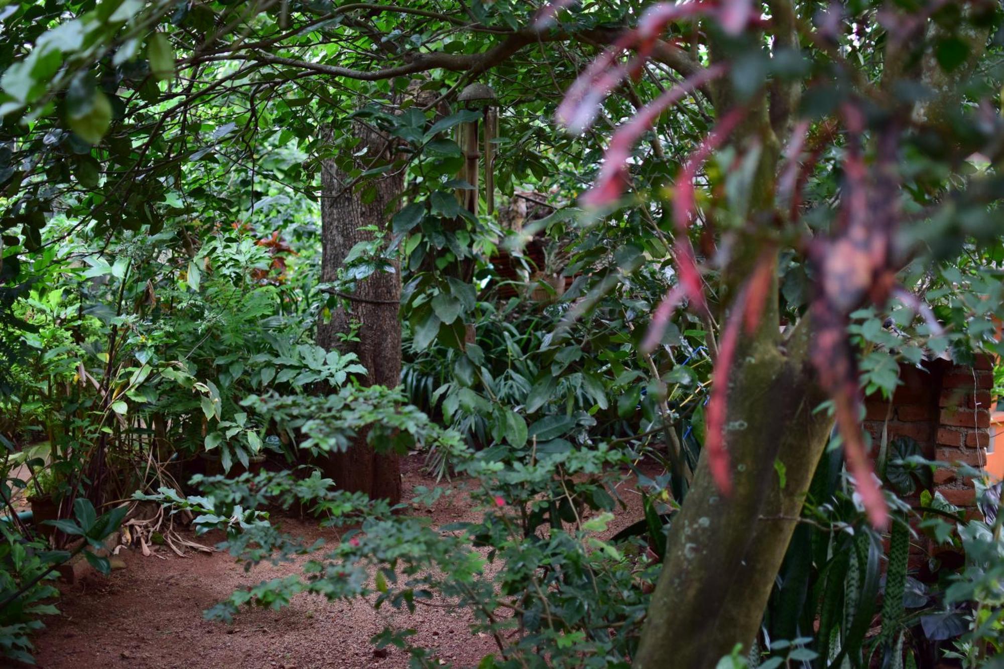 Silent Waters Resorts Yelagiri Exterior foto