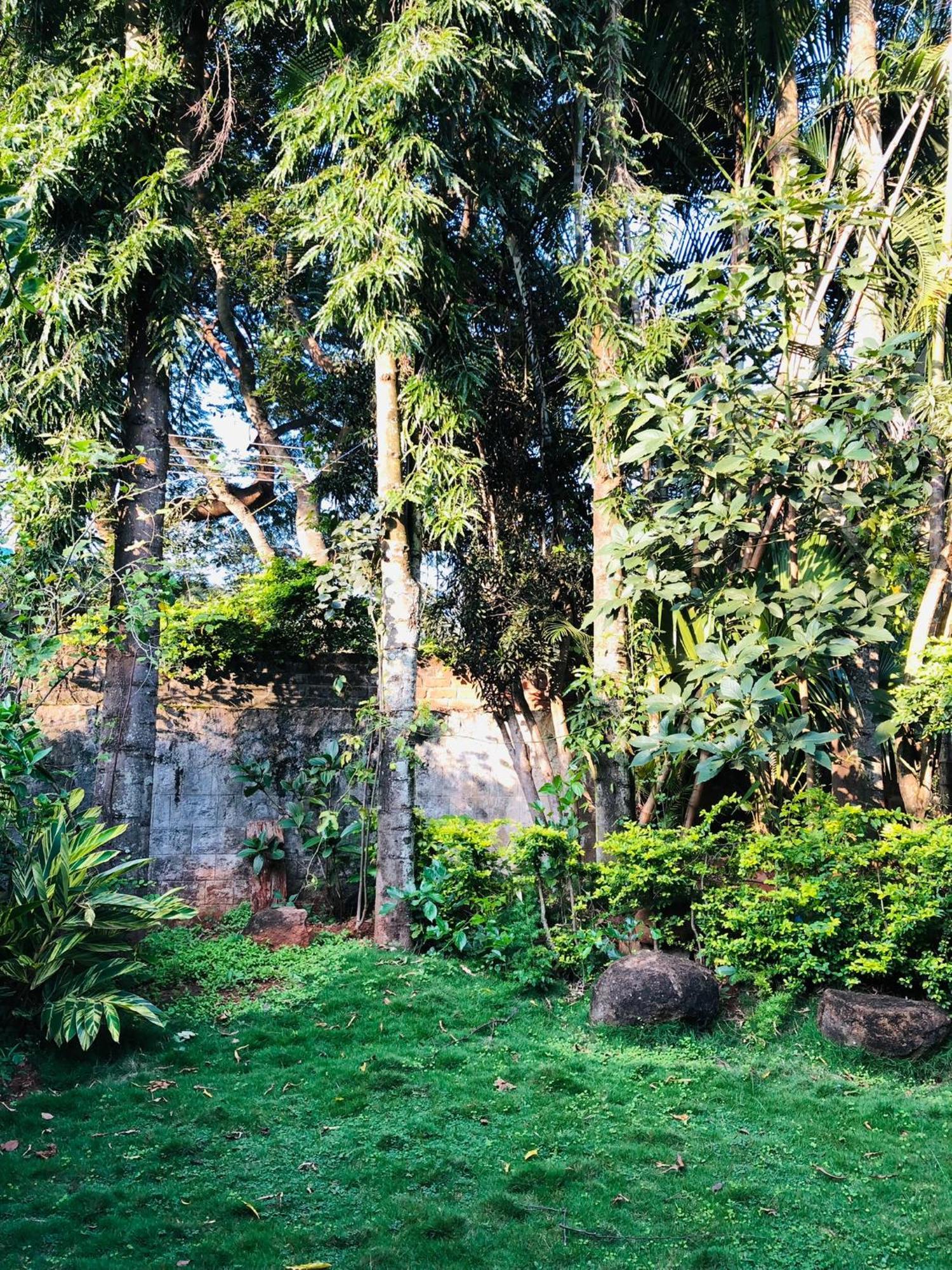 Silent Waters Resorts Yelagiri Exterior foto